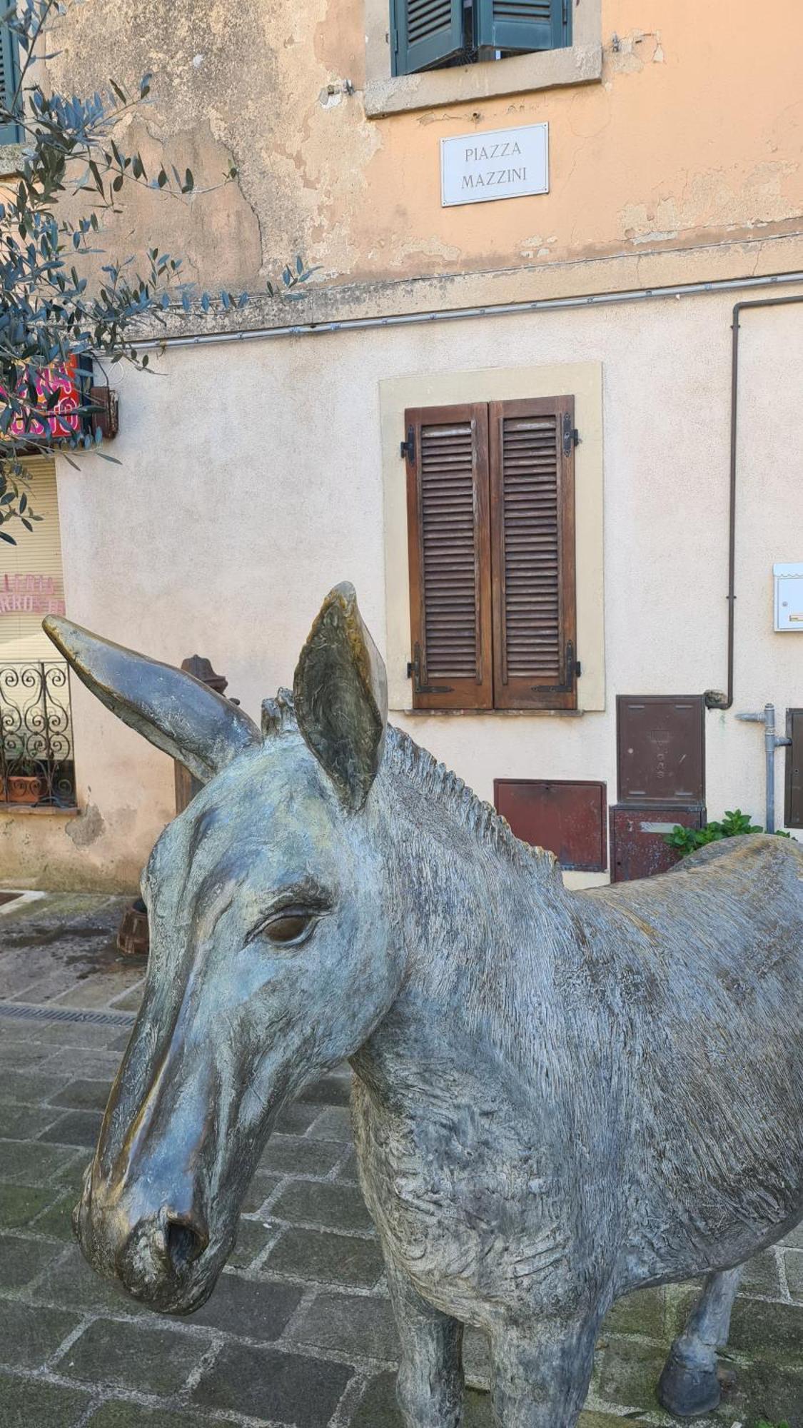 Rocca Casa Daire Roccatederighi Dış mekan fotoğraf