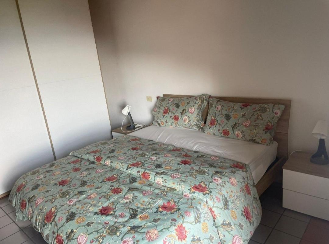 Rocca Casa Daire Roccatederighi Dış mekan fotoğraf